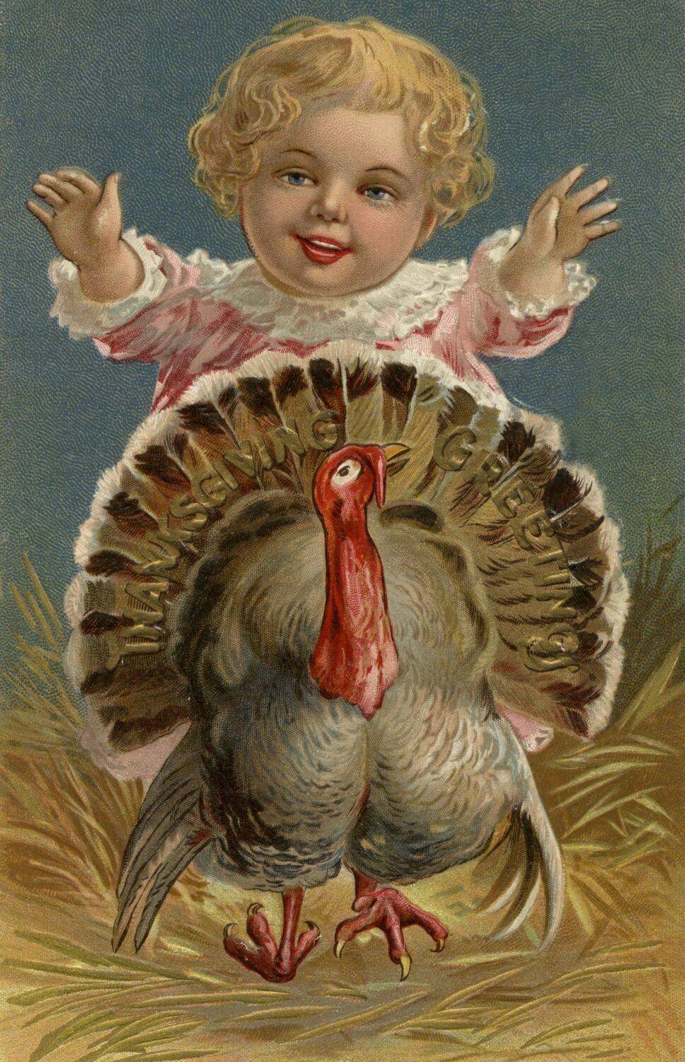 Illustration for Thanksgiving postcard featuring baby girl chasing turkey....