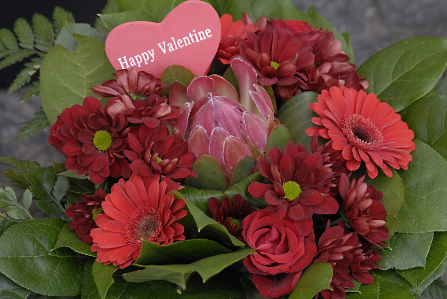 Photo by Francis Dean/Corbis via Getty Images...