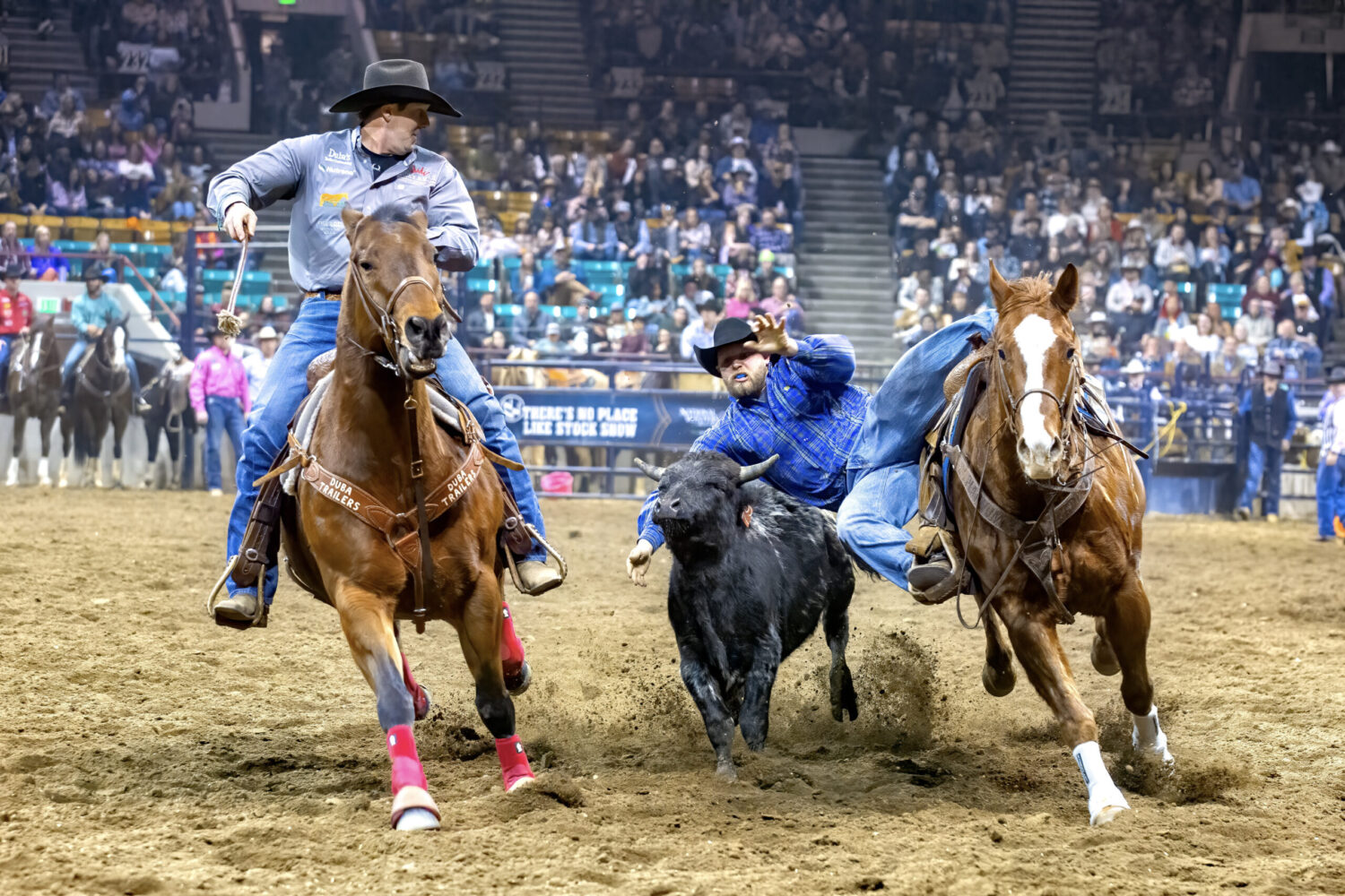 Pro Rodeo Semifinals...